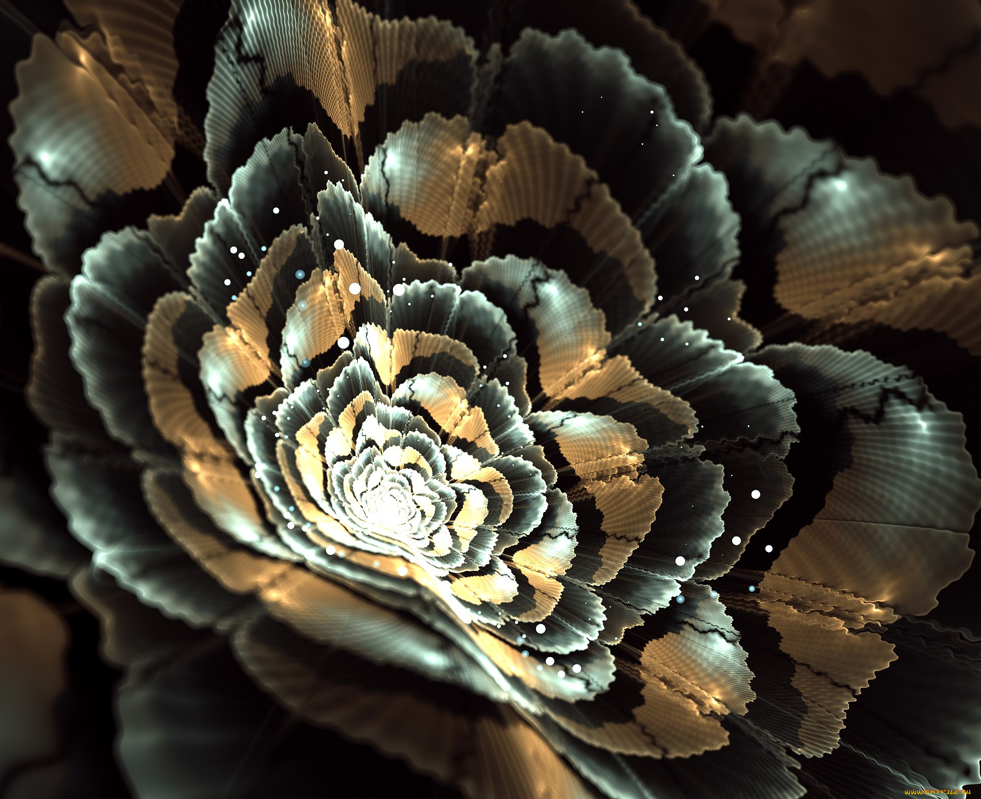 3 ,  , flowers, , 